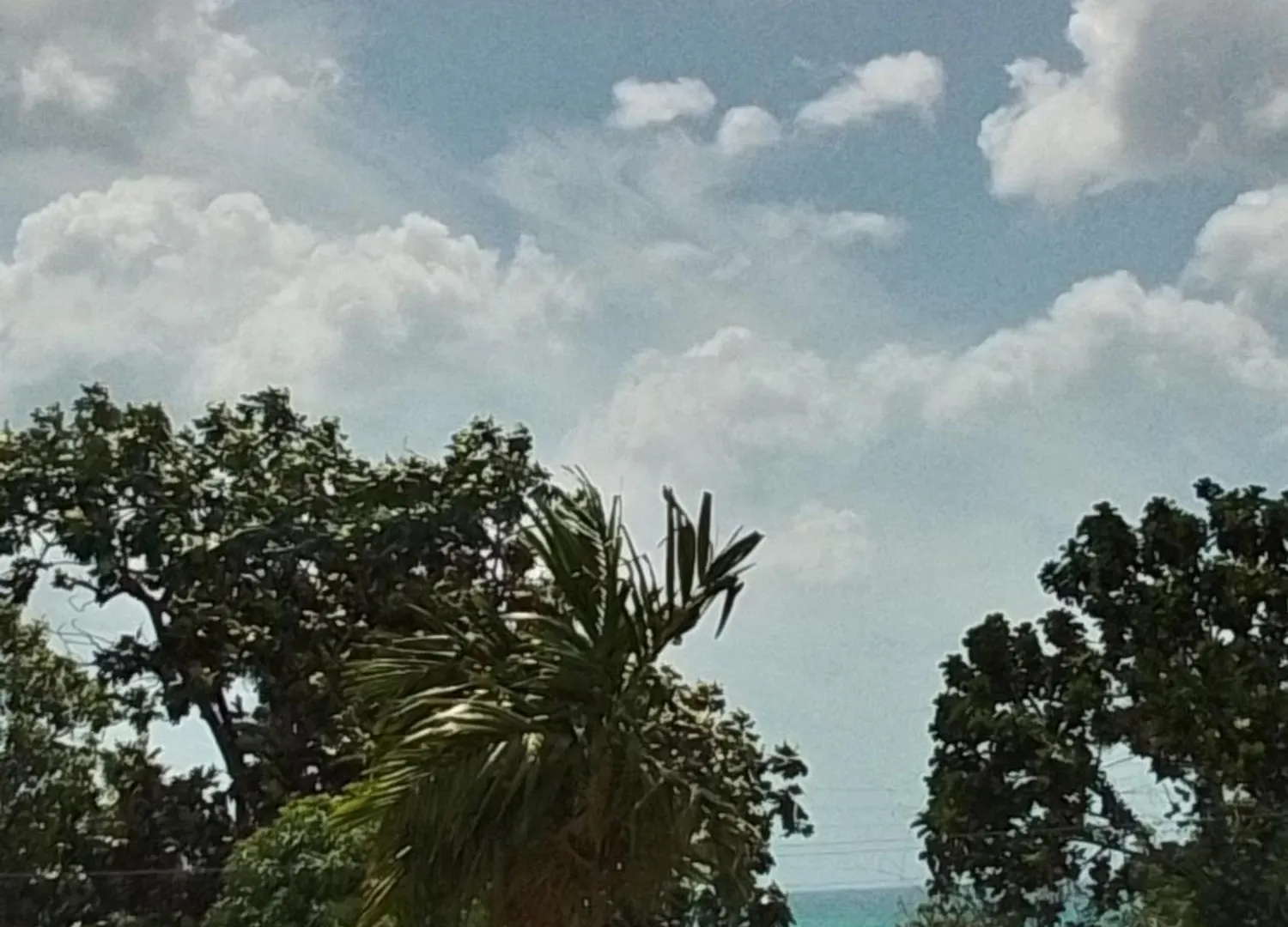 Rum i privatbostad Chatham Palms Montego Bay Jamaica